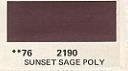 Click here to view Sunset Sage Buicks